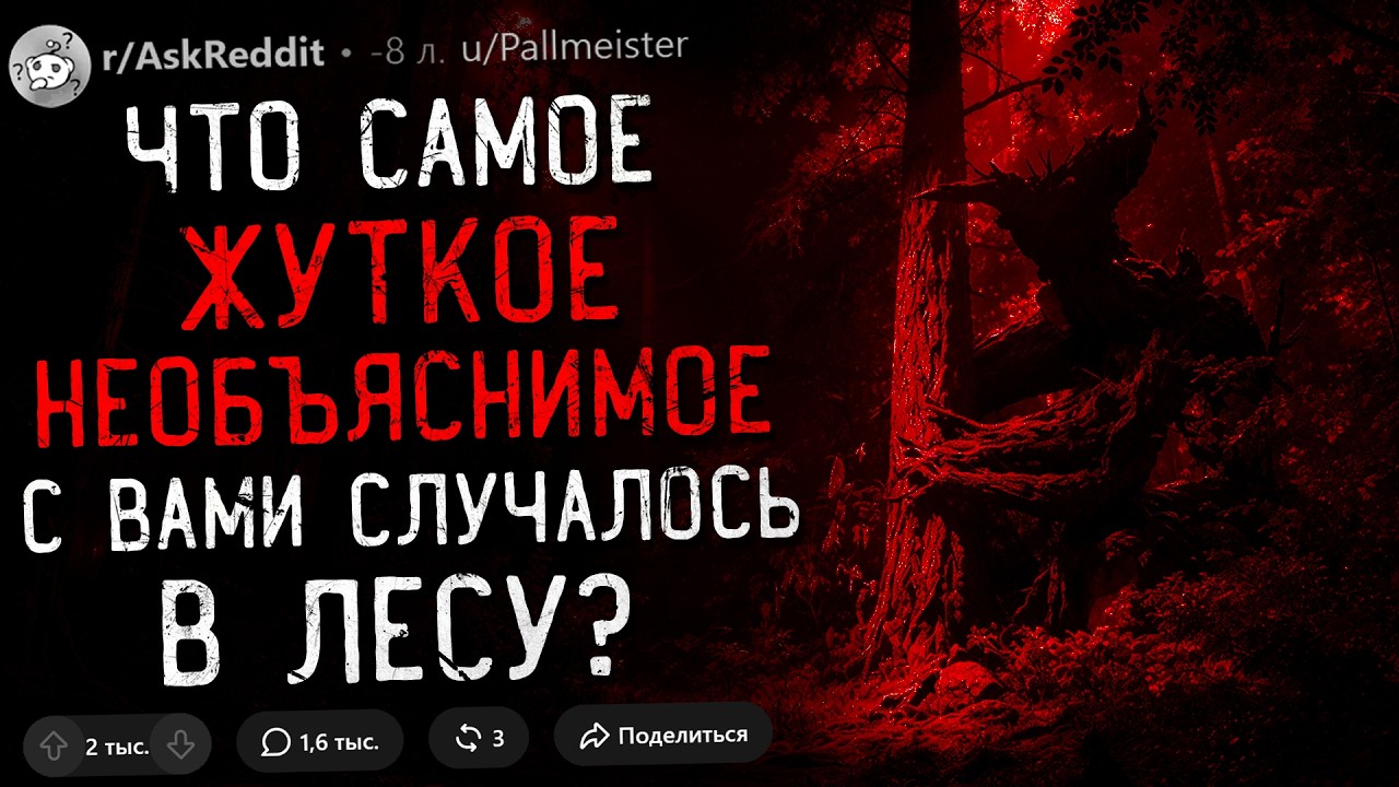 Что Самое ЖУТКОЕ/СТРАШНОЕ Вы Видели в ЛЕСУ? #9 (истории про лес)