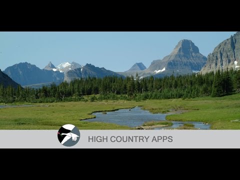 Glacier Wildflowers Video