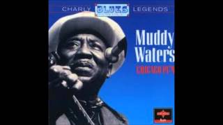 Baby Please Don&#39;t Go - Muddy Waters Chicago 1979