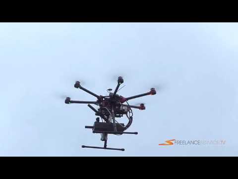 Drone shooting asian hornet nest