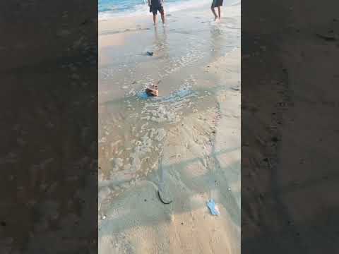 Praia de Itaipuaçu não é para os fracos kkkkk...