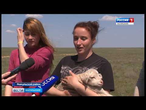 Вести «Калмыкия»: итоги недели от 20.05.2018