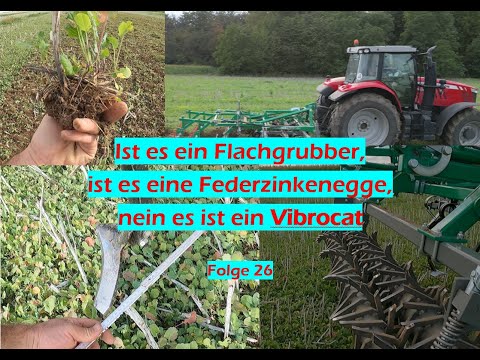 Wir bitten zum Test, heute EuM Vibrocat!