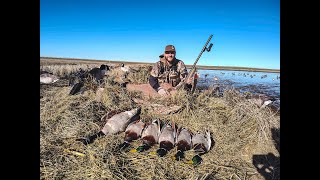 Tidewe Hunting Waders: Waterproof, Durable, and Built for the Wild! 🦆🌧️