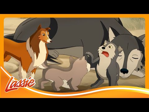 🏔️ Brave Dog vs. Hungry Wolverine 🐕 | The New Adventures of Lassie | Cartoon for Kids @VIEWEDkids