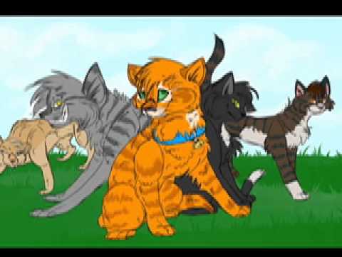 Warriors Bambi Trailer