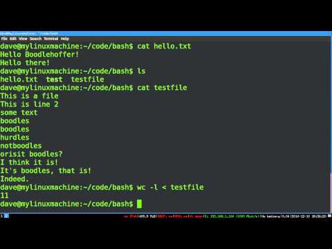 Bash Scripting 2 Bash Basics