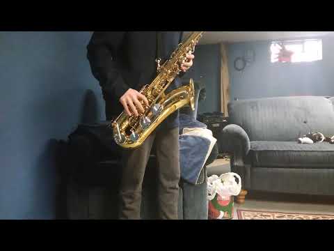 Acid mountain by moon hooch (cover)on tenor sax