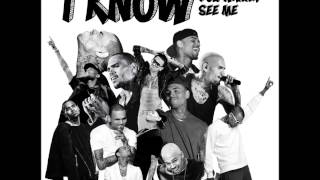 Chris Brown -  I Know You Wanna See Me