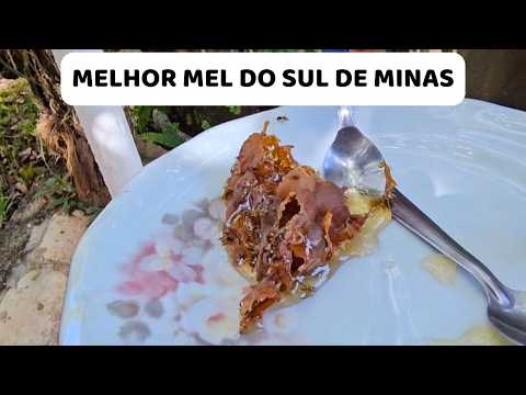 Apiário e Meliponário Pé da Serra em São José da Barra MG - Fora da Rota