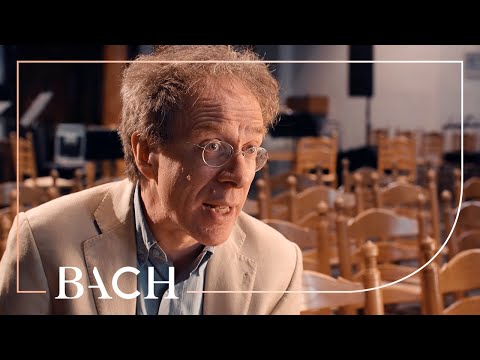 Bernardini on Bach Cantata BWV 132 | Netherlands Bach Society