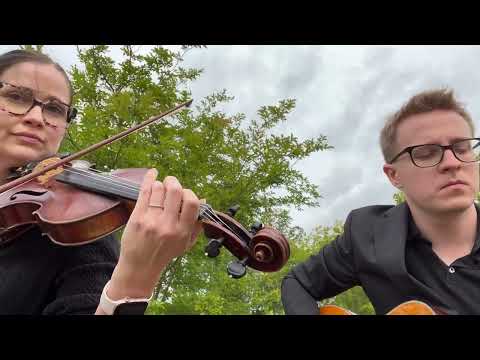 Promotional video thumbnail 2 for Fleming Strings
