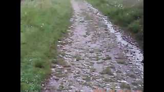 jizz da pit slash snakepit & bicycle race queen