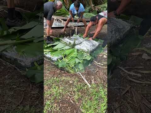 Laying down the Umu in Rarotonga. #umu #rarotonga #pork #chicken #traditional #traditionalfood