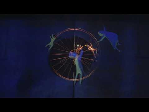 Cirque du Soleil Drawn to Life preview