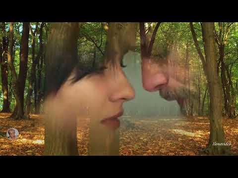 A két szemét még most is látom - Szulák Andrea-(Kozma József - Hulló levelek)