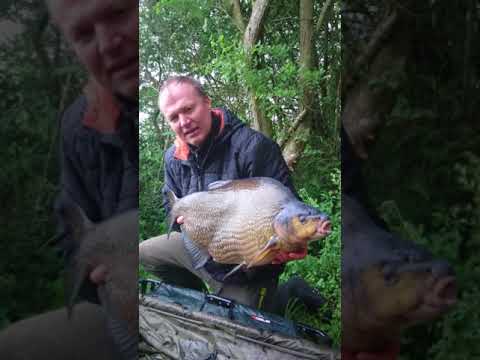 Massive fish-Bream 21lbs 12ozs from gravel pit May 2018
