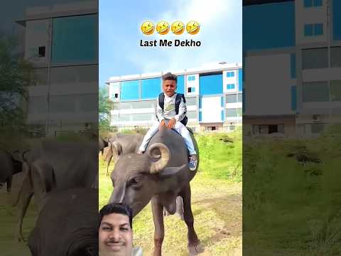 ભૈસ 😂 tappu na Video nana chokra na Video bakul bhai na Video bhola dada #bakulbhai #comedyvideos