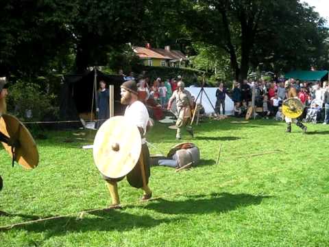 Viking fest in Linköping