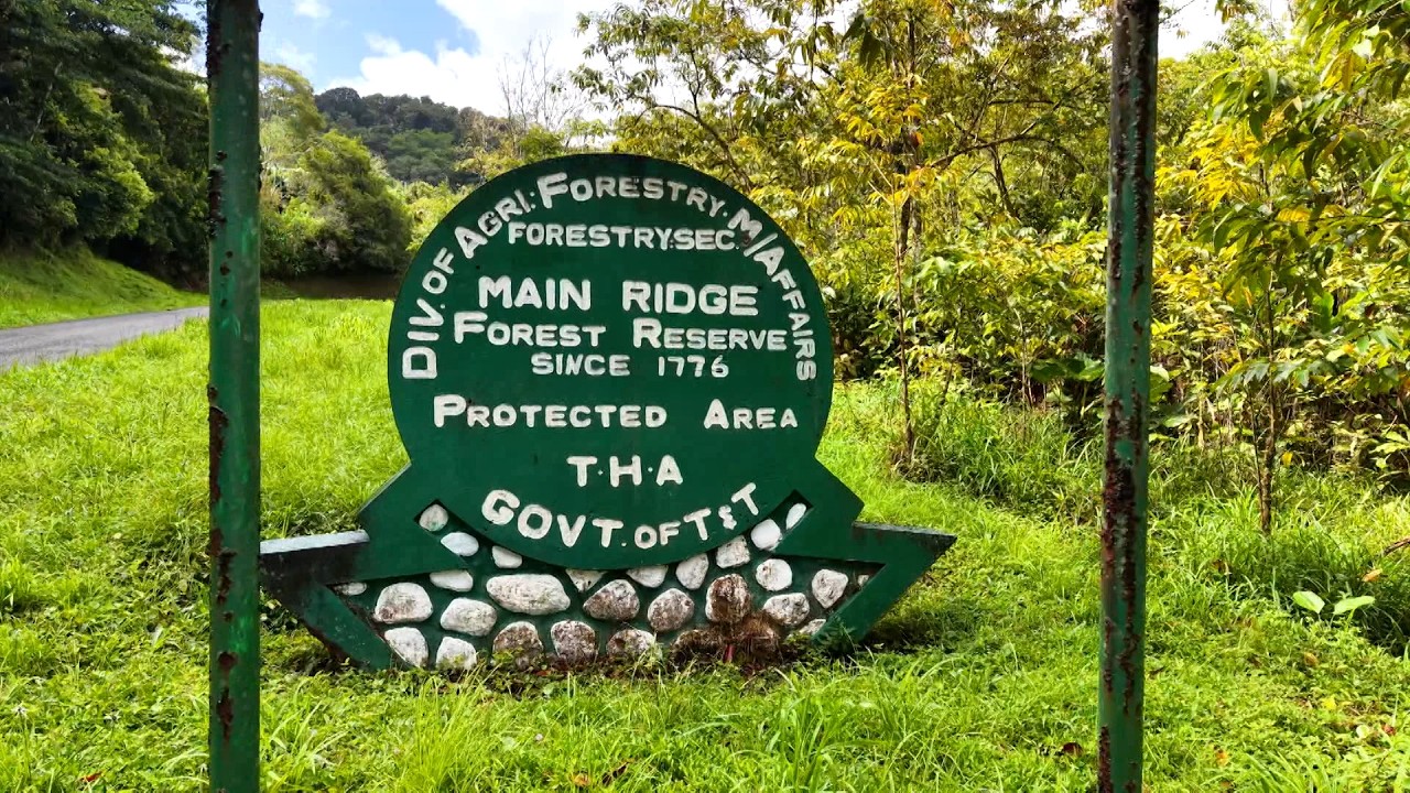I Love Tobago - 250 years of Main Ridge Forest Reserve protection