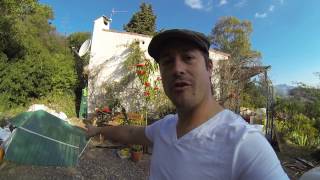 New place Tour, Veggie Garden & Greenhouse