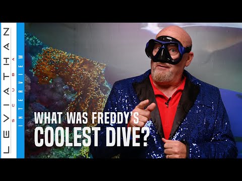 Your Coolest Dive