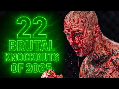 Brutal MMA Knockouts of 2025