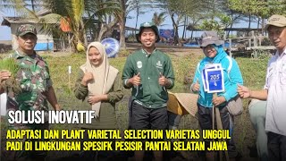 SOLUSI INOVATIF: Adaptasi dan Plant Varietal Selection Varietas Unggul Padi || Penelitian