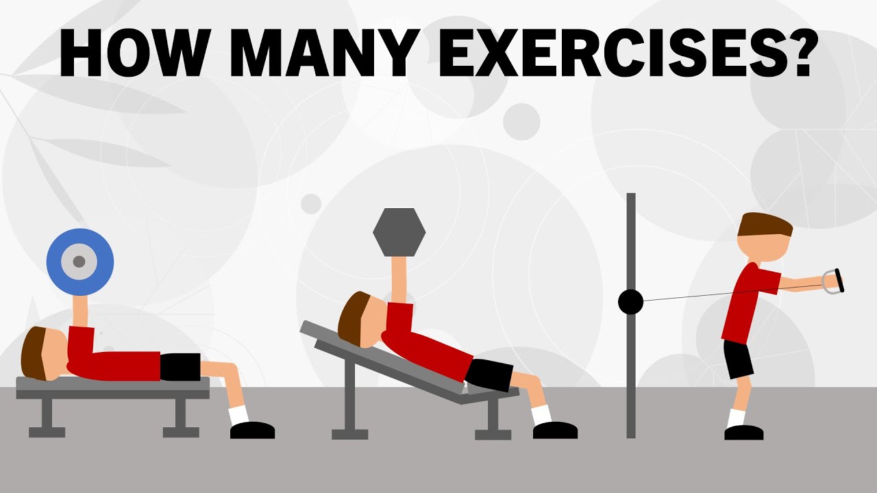 How Many Exercises Per Muscle Group?
