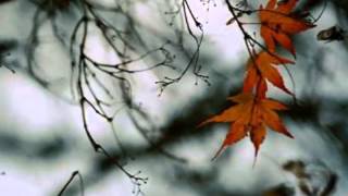 Vento de Maio- Elis Regina