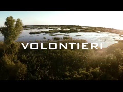VOLONTIERI treileris