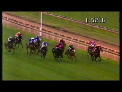 1995 Caulfield Stakes - Danewin