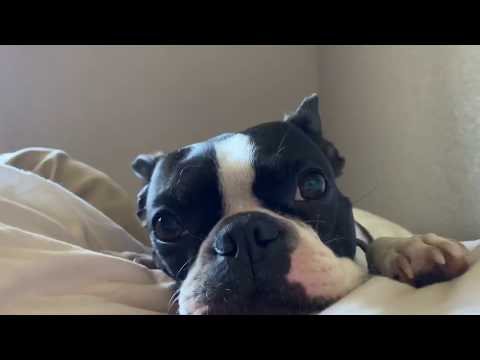 beach adventures | 1