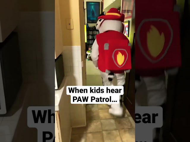 Vídeo relacionado con Stor Urban Paw Patrol Girl Sketch Essence Sandwichera para niños Urban Paw Patrol Girl Sketch Essence