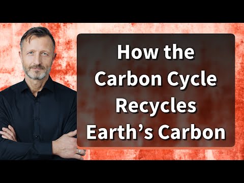 How the Carbon Cycle Recycles Earth’s Carbon
