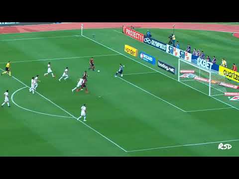 S40 P4UL0 1x1 FL4M3NG0 - BR4S1L31R40 2019