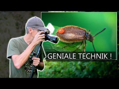 MAKRO mit Serienfeuer! So genial funktioniert es, komplette Anleitung mit Bearbeitung