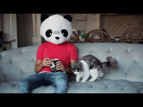 Nick De La Hoyde - Animals (Official Music Video)