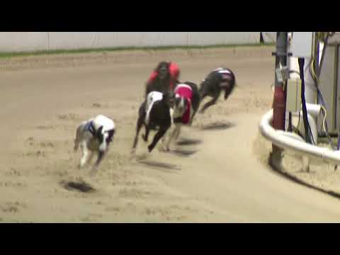 2021 CHAMPION STAKES  - HEAT 1 - T2  BOMBARDIER