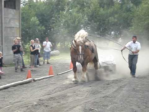 Farma Bulovka-těžký tah kvalifikace 2010