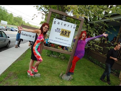 Extrait vidéo - Lancement du livre Quand la poésie épouse l'art - Illusions décolorées