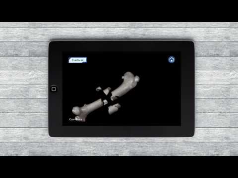 Osteology in Dogs (Free) Video