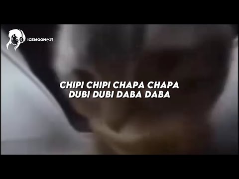 música VIRAL do gatinho que fala chipi chipi chapa chapa dubi dubi daba daba