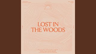 Lost In The Woods Music Video