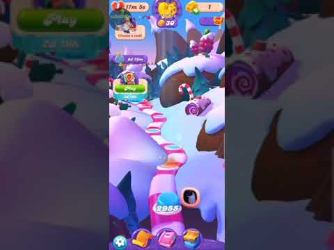 Dachs' Delivery Service#1 Completed