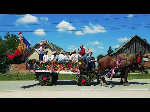 Palascasi chematori la nunta  prin Simand