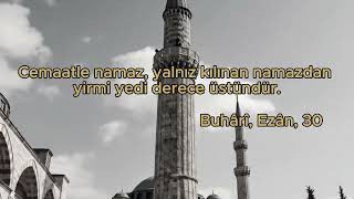 Tek Başına Değil, Beraber Kazan! 🕌📈 #hadis