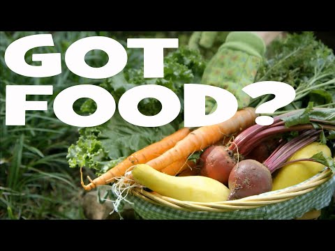 Top 20 SURVIVAL GARDEN Crops