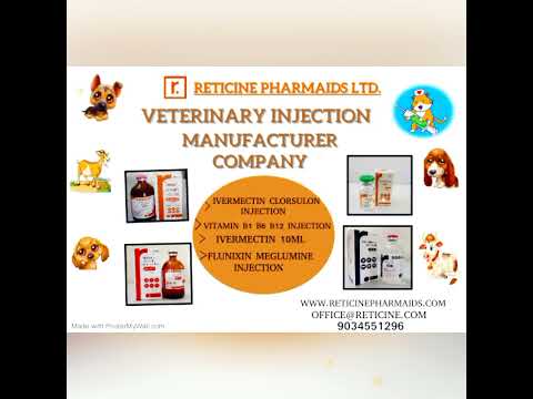 veterinary franchise company