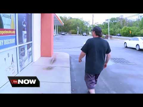 Thief smashes security cameras off Pizza, liquor shops in Valrico